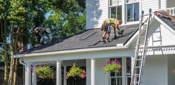 Best Roof Gutter Cleaning  in Estes Park, CO